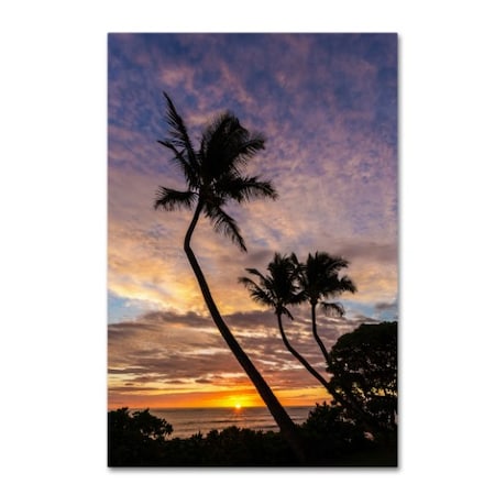 Trademark Fine Art Pierre Leclerc 'Kauai Sunrise' Canvas Art, 12x19 PL0262-C1219GG